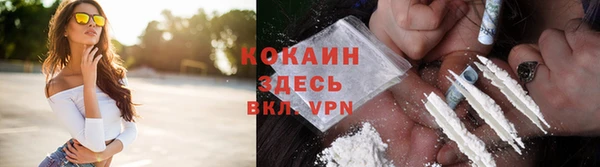 мет Касимов