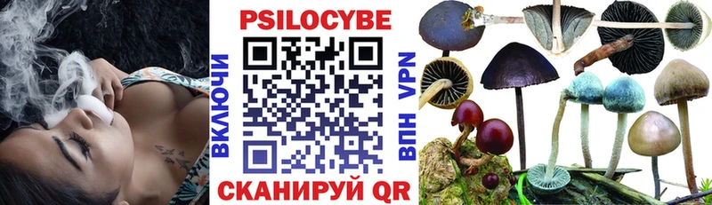 Купить  Гуково  Псилоцибиновые грибы мицелий 